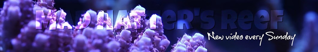 Mad Hatter's Reef Avatar de chaîne YouTube