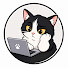 M3SFSyDj-VA-channel-avatar-Life & Cats