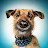 @Deatomizer's avatar