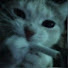 yGrY4CU0yd4-channel-avatar-☆M3RCYY☆