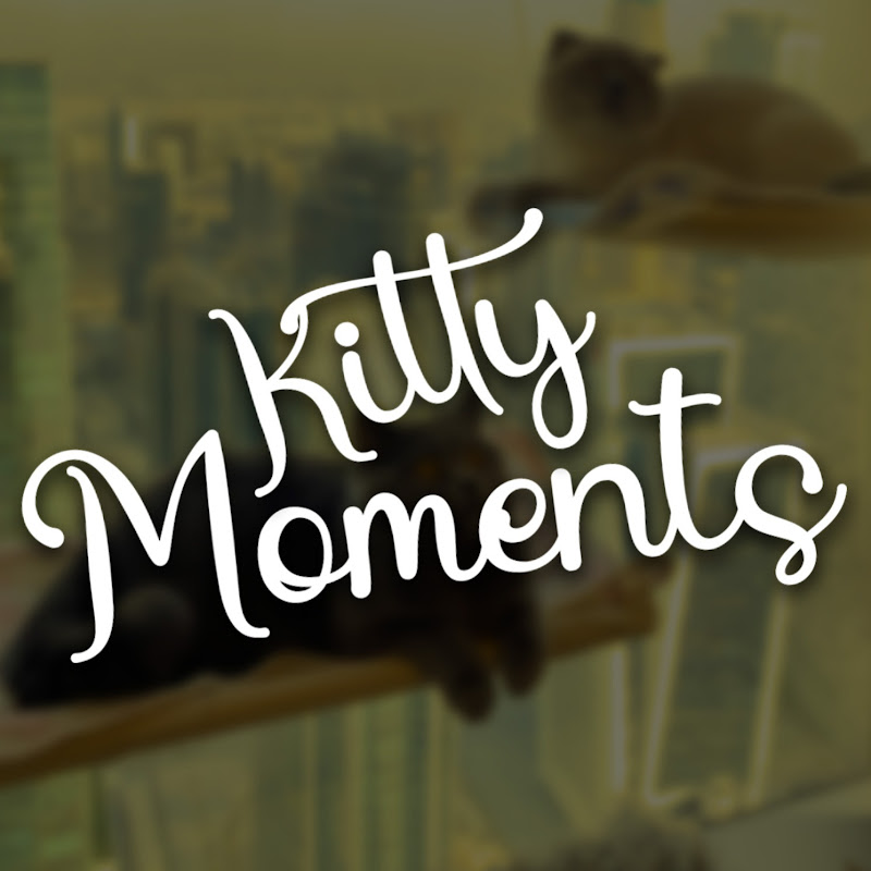 Kitty Moments