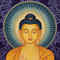 mhfkQ3djQZE-channel-avatar-Zenith Zen