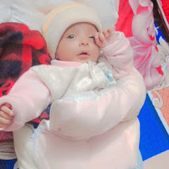 Ali Raza 7860
