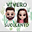 Vivero Suculento