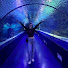 6nKOgCc68nk-channel-avatar-Selinnur Sade