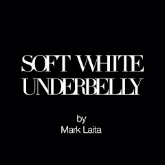 Soft White Underbelly net worth