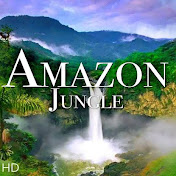 Amazon View
