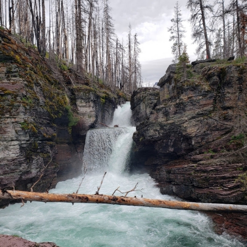 National Parks and Nature's treasures avatar