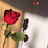 @RodanZaghloul-x