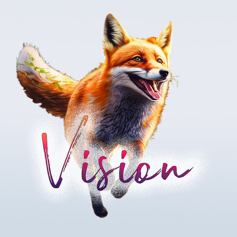 Vision Walking