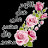 @القرآنحياه-د4ك