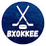 t1Kvt6rK6tA-channel-avatar-ВХоккее