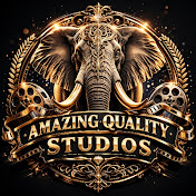 AMAZING QUALITY STUDIO'S