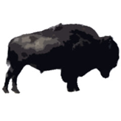 Yellowstone Voices
