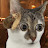 @lizziegeee333 Avatar