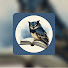 lzg_vMwsP40-channel-avatar-History Slumber
