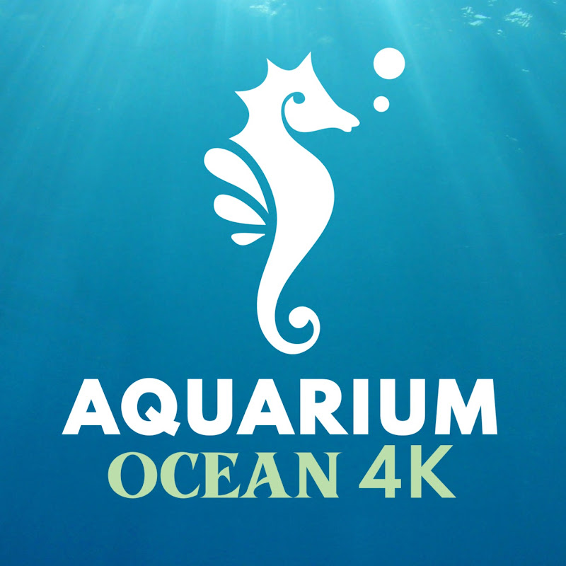 Aquarium Ocean 4K