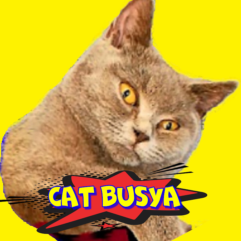 Погладь КОТИКА🐱