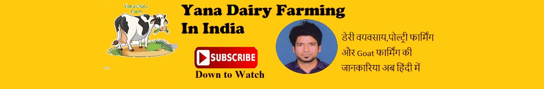 Yana Dairy Farming in India ইউটিউব চ্যানেল অ্যাভাটার