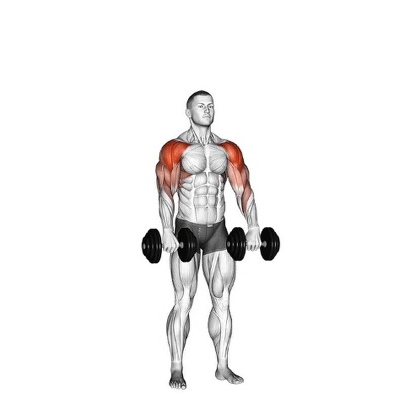 MR WORKOUT PAL 