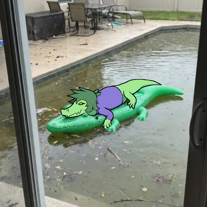 Post from Snoot Booru Video Archive