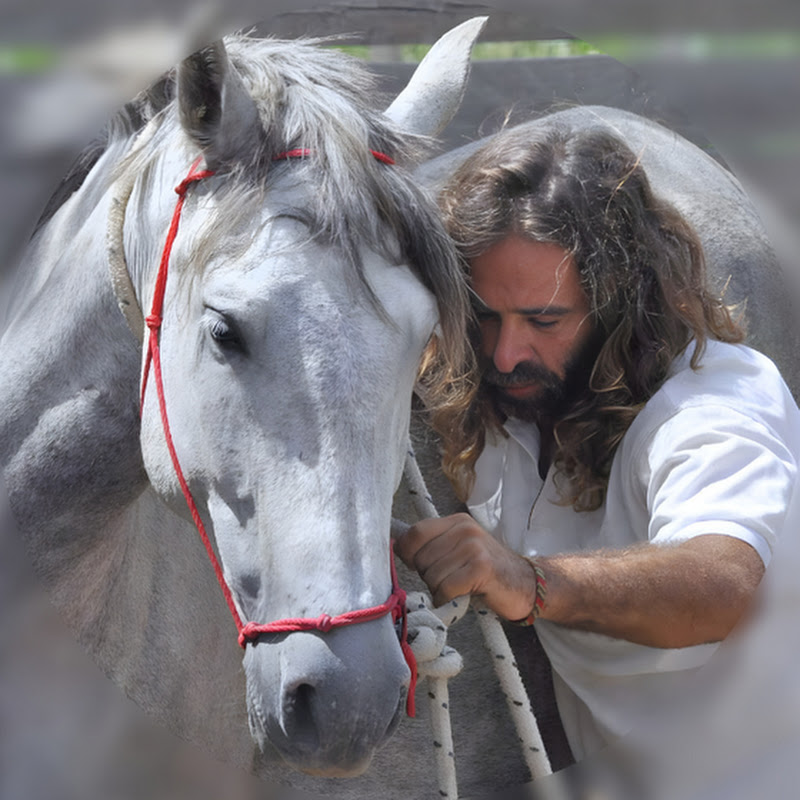 Domador de caballos 
