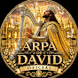 ARPA DE DAVID OFICIAL