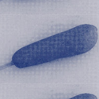 Natedillydawg profile image