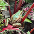 3r1lrhLVZ-Q-channel-avatar-Tish's Tiny Treasures