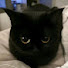 ZNS_lUEv78w-channel-avatar-♡†꧁𝐀𝐥𝐥𝐲꧂†♡