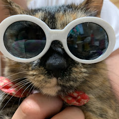 りゅう