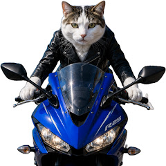 野良猫 CEO