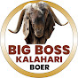 Big Boss Kalahari Boer logo