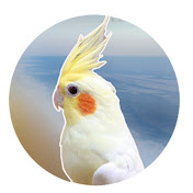 アイコン