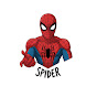 SPIDER logo