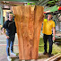 -ve1dhejqQM-channel-avatar-Woodfornature-Massivholz 