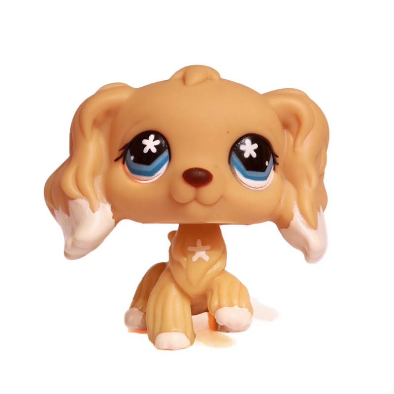 Ashley LPS