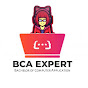 BCA EXPERT logo