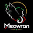 5EL7iEEfyZM-channel-avatar-Meowran  and Iran2mo Travel