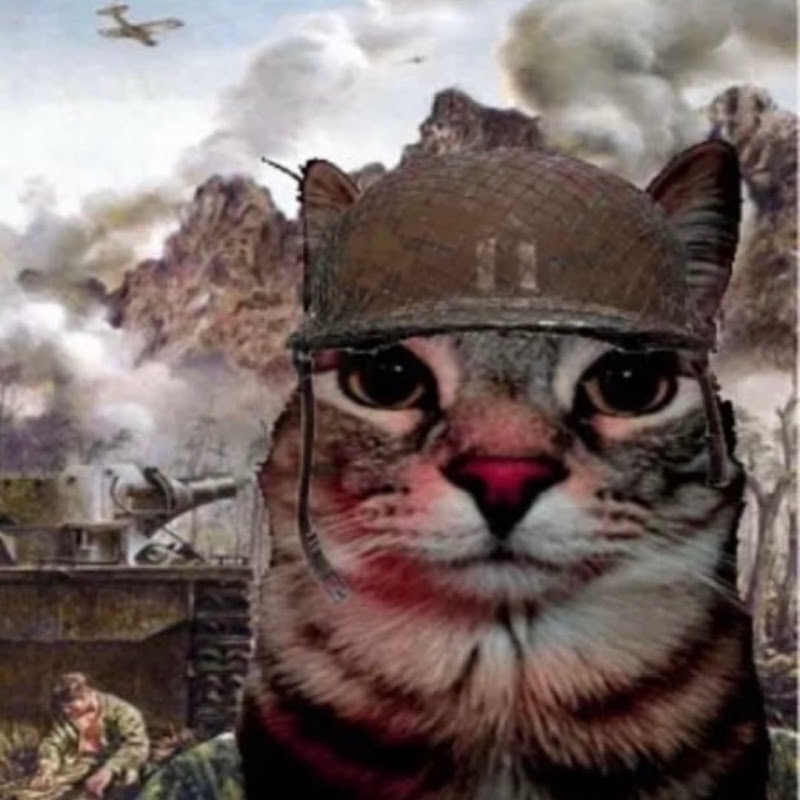 Lieutenant Kitty