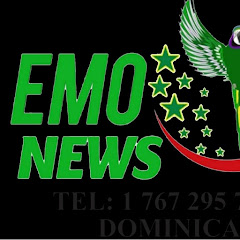 EmoNews EmoNews net worth