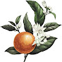 Tangerine Blossom YouTube Profile Photo