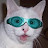 @ccalibrate