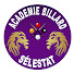 ibBwaoRQYvo-channel-avatar-Académie de Billard Sélestat