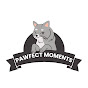 Pawfect Moments logo