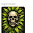 @bm3gm Avatar