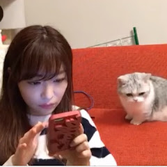 nami ch 指原プロデュース 紹介 切り抜きアイコン画像