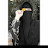 @حليوههالمنبجيه