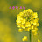 @baby-babybaby