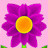 @ShahdAli-s3b